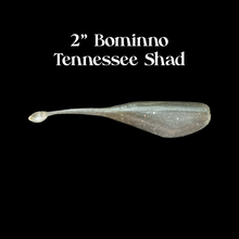 Load image into Gallery viewer, 2" BoMinno - 10 Pack