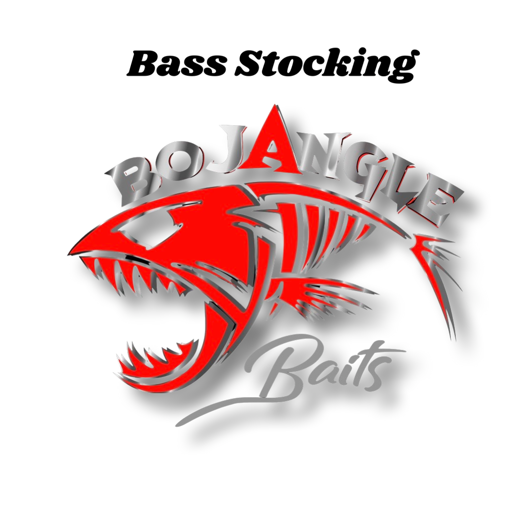 Bass Fishing stocking stuffer